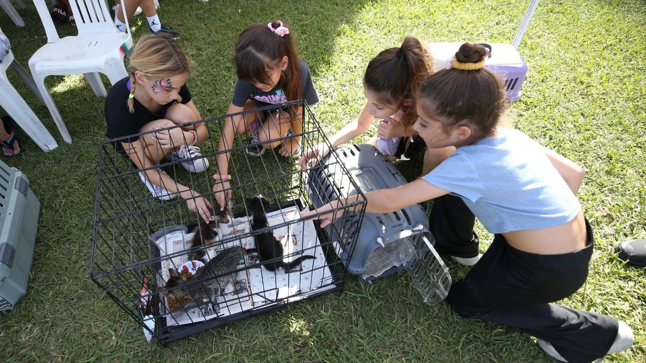 Karşıyaka’dan Can Dostlara Sevgi Dolu “Yaza Merhaba Festivali”