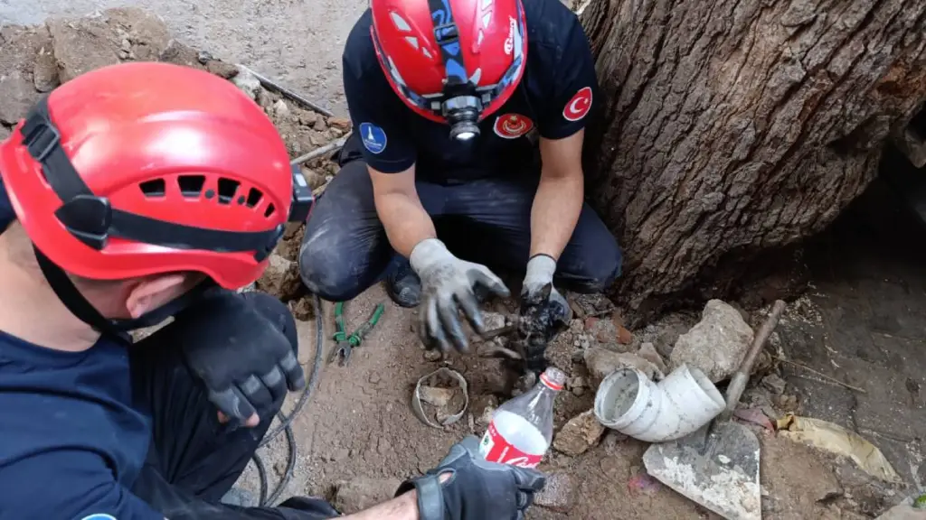 İzmir’de Bacaya Sıkışan Yavru Kedi 4 Saatte Kurtarıldı