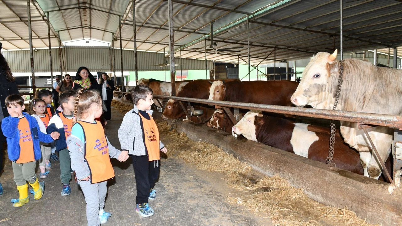 Çiğli Belediyesi, Çocuklara Çiftlik Gezisiyle Doğa Sevgisi Aşılıyor