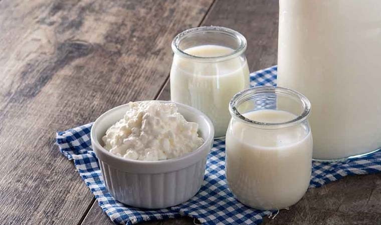 Kefirin Alzheimer’a ve Bağırsak Sağlımıza Yararları