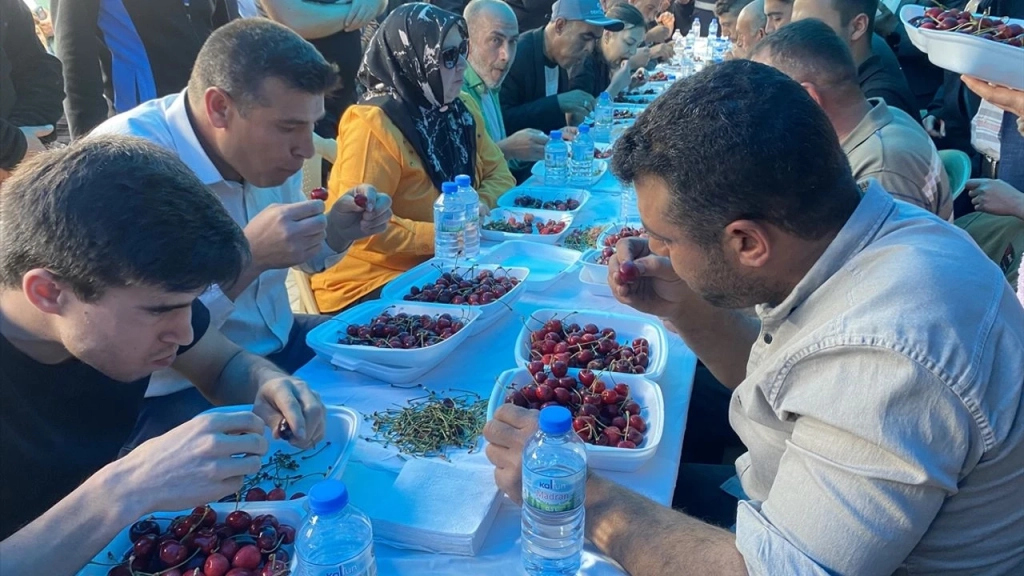 10 Dakikada 2 Kilo 592 Gram Kiraz!